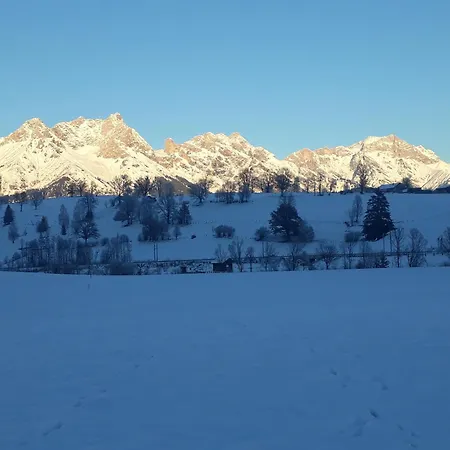 Apartchalet Sisi- Including Leogang Card *