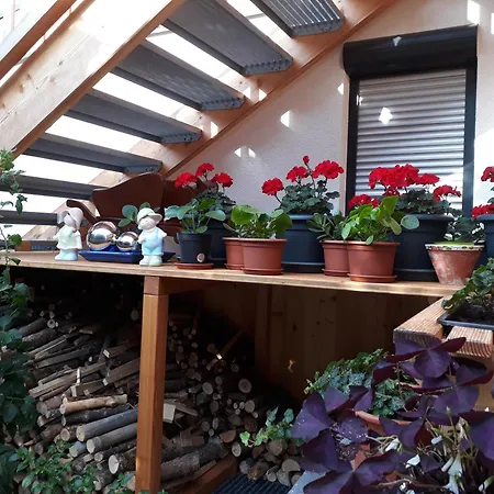 Διαμέρισμα Apartchalet Sisi- Including Leogang Card *