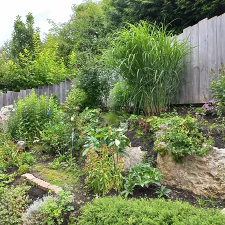 Apartchalet Sisi- Including Leogang Card アパート *